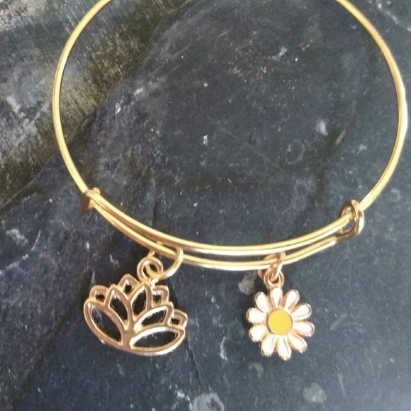 Expandable Charm Bracelets - Picture 10 of 16